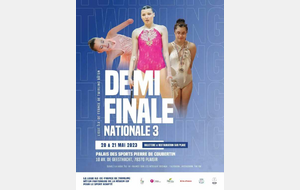 demi finale nationale 3 à Plaisir